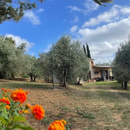 Lavanda Con Vista Mare, Aria Condizionata By Toscanatour Guardistallo